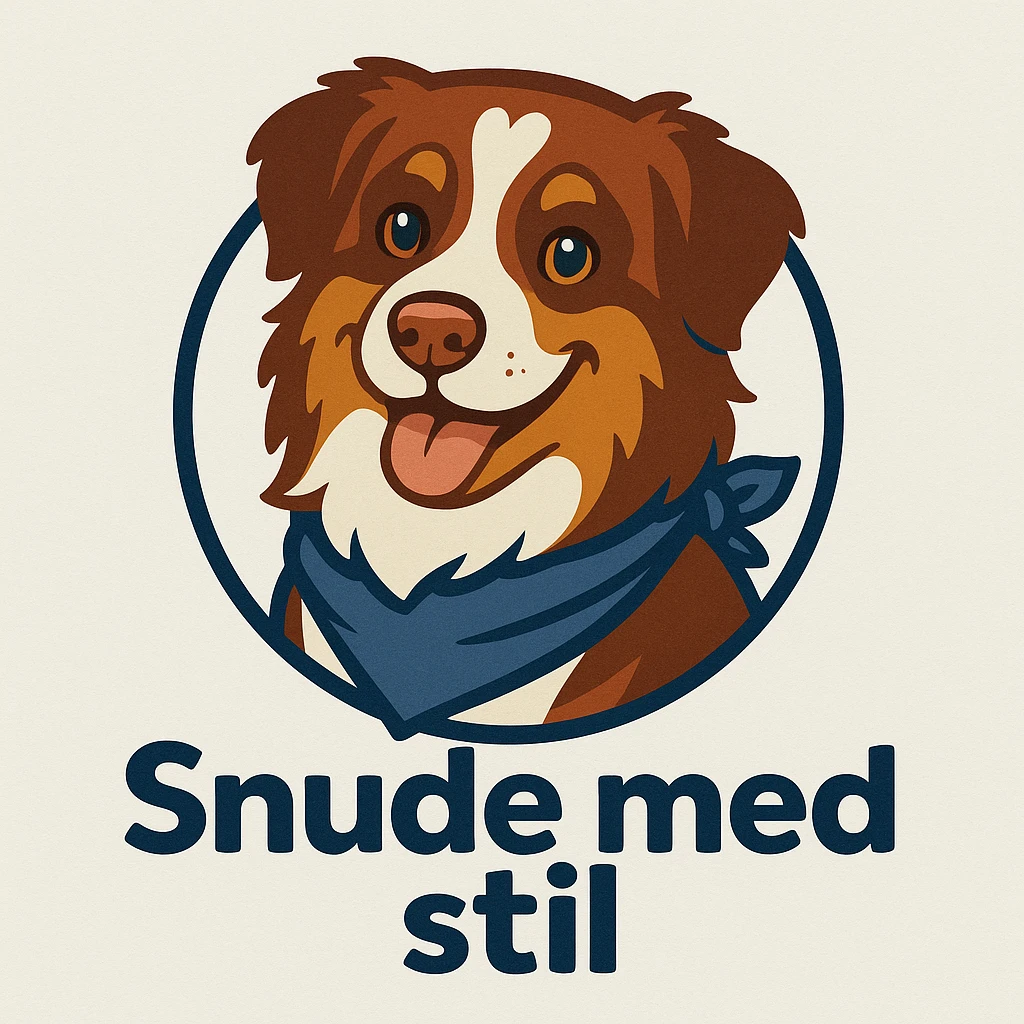 Snude med stil