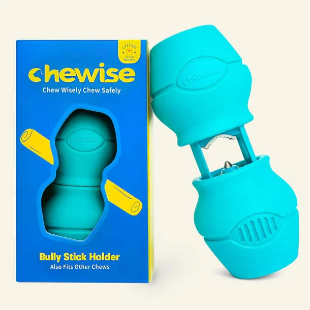 Chewise Snack-Holder Standard - Mint