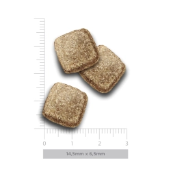 Amanova Delikat Fisk - Hundefoder med mobilitetsst�tte - 2 kg