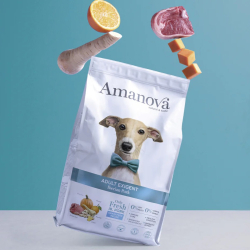 Amanova Iberico Gris - Kornfrit voksen hundefoder - 10 kg