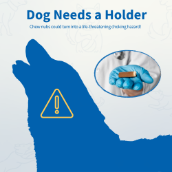 Chewise Snack-Holder Standard - Gul