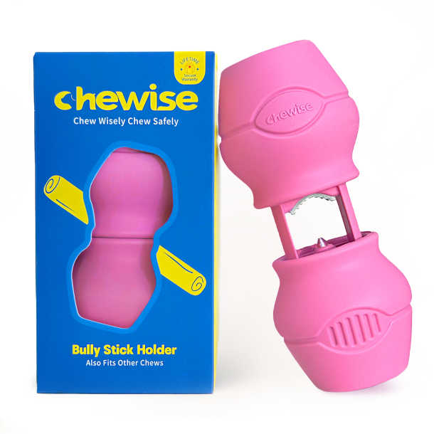 Chewise Snack-Holder Standard - Pink