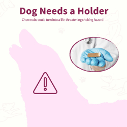 Chewise Snack-Holder Standard - Pink