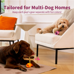 Chewise Snack-Holder Standard - Pink