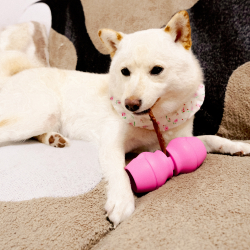 Chewise Snack-Holder Standard - Pink