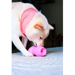 Chewise Snack-Holder Standard - Pink