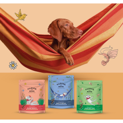 Harper &amp; Bone Skin and Coat Meaty Sticks - 75 g